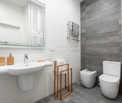 limpiar baño limpiar baño