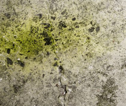 Limpiar mancha de aceite Limpiar mancha de aceite