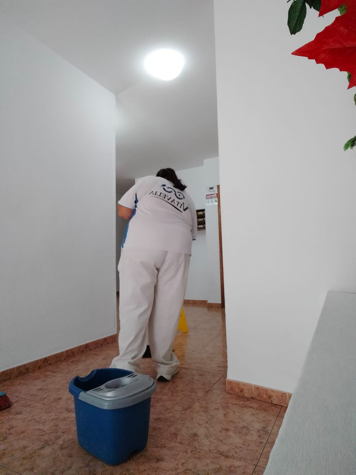 Empresa de limpieza en Almeria centro